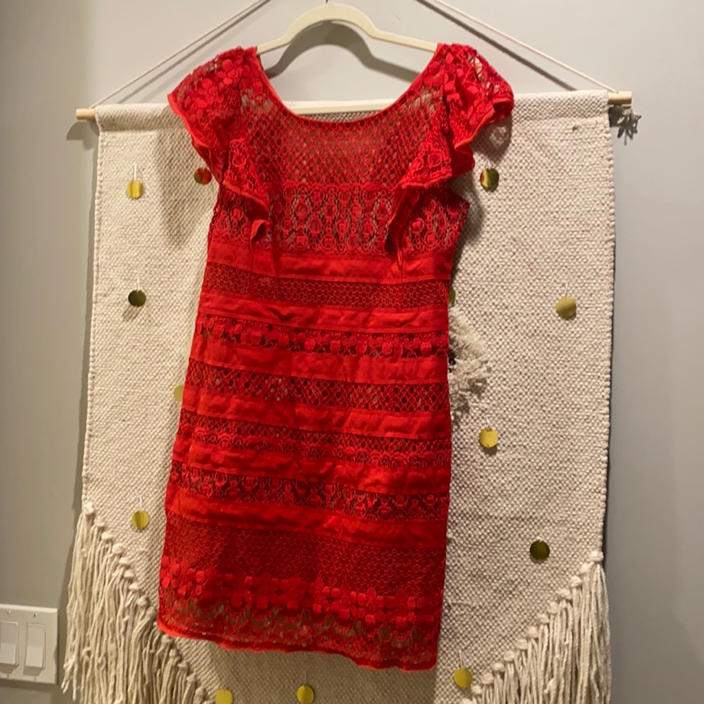 Bcbg Maxaria Woman’s Pink/Red Lace Dress With Nude Lining, Like New, Size :4